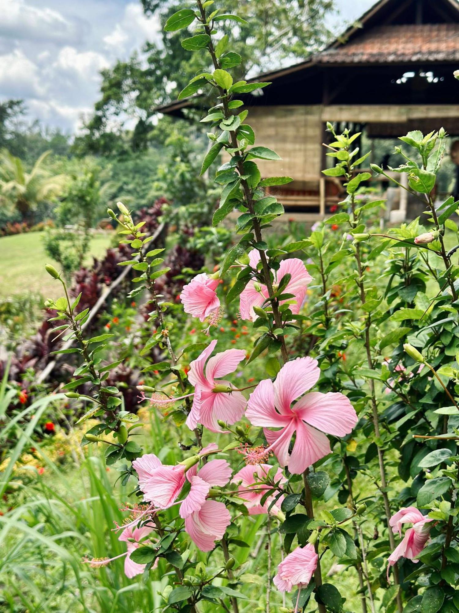 Sang Tirta Resort Penebel ภายนอก รูปภาพ